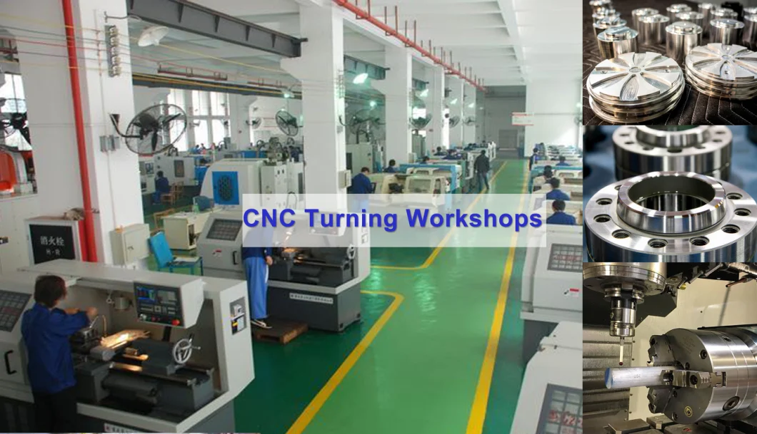 Advanced Technology Bronze Camera Parts for Metal Spinning Machinery